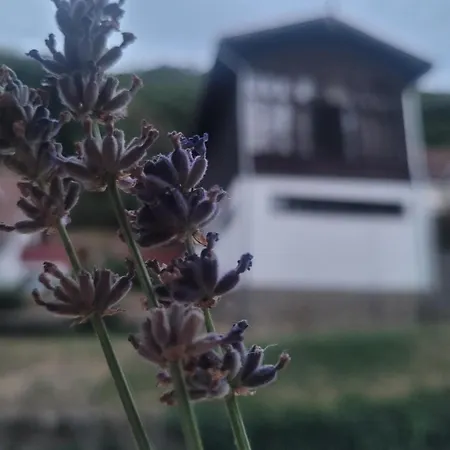 Ezuestfenyo Ueduelo Visegrád